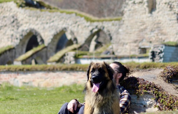 En man och hund som sitter vid Alvastra Klosterruin. 