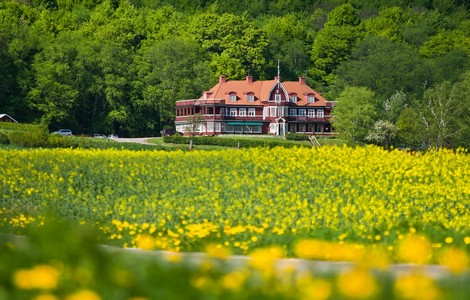 Ett stort rött hus med vita knutar som ligger precis bakom en stor grön skog. Framför huset ser man en åker fylld med gula rapsblommor. 