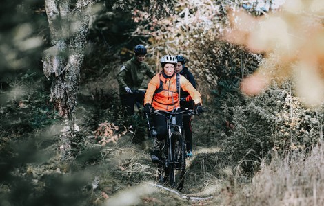En cyklist som cyklar i skogsterräng.