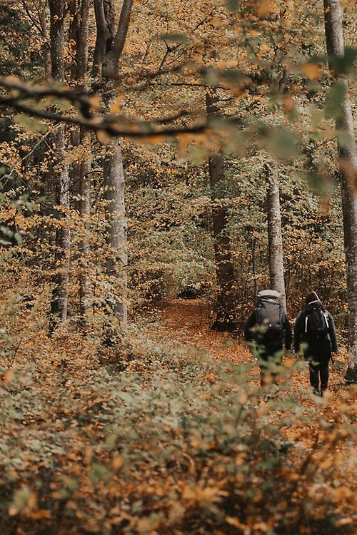 Två personer som vandrar på Ellen Keys led under hösten.